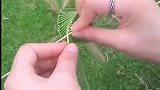 狗尾巴草编蝈蝈笼蚂蚱笼子
