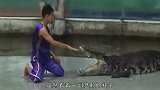 男子逗鳄鱼，当他把手放进鳄鱼嘴里时，这下悲剧了
