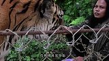 老虎与救命恩人久别重逢，老虎却将主人扑倒在地，一口咬住脖子！