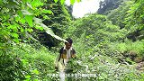 来峨眉山除了看金顶云海，还有一个鲜为人知的绝美秘境