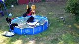 棕熊私入名宅霸占人家的游泳池，还玩起了花样跳水，好嗨哟！