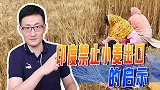 印度突然宣布禁止小麦出口！如今国际粮食紧缺，印度为啥发禁令？