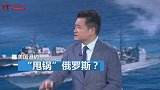 专家：为了“甩锅”俄罗斯 美国对俄罗斯提无理要求制造“不信任