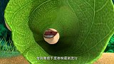 熊出没：买葡萄干得游戏卡，吉吉这小生意，吸引了不少小动物们