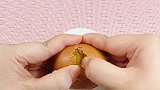 我太喜欢过家家了~我觉得养鼠就是满足我的过家家欲仓鼠
