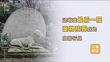 不养宠不知钱包空？宠物殡葬行业走红，一年间规模暴涨447%！