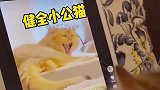 你见过这么色的小母猫吗看到小公猫直接舔屏，有小公猫喜欢吗