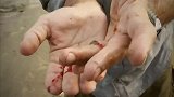 男人的噩梦它会迅速钻进人体，让人虎躯一震！
