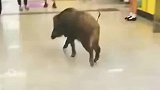 无聊时还出来逛逛超市