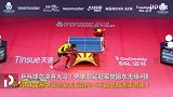 总决赛大冷！卫冕冠军樊振东无缘4强 巴西黑马创历史
