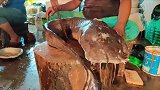 宰杀印度恒河的大鲶鱼，就如同开盲盒