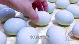 自制咸鸭蛋，个个起沙流油