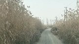 希望是火、失望是烟、人生就是一边生火、一边冒烟。