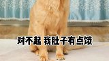 人生不易，每个人都在努力的生活，所以请善良