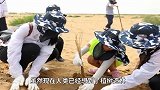 沙漠有救了！我国发明的“吞沙巨兽”，一天造四十亩绿洲！