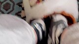 快把闲置的猫窝找出来吧，真的很暖和！
