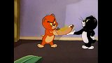 猫和老鼠：汤姆杰瑞被小猫整惨，他两联手对付小猫，简直天下无敌