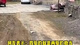 狗狗回村犯下抢劫大案，抢走小朋友的零食摇尾炫耀
