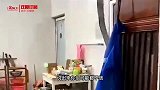 猫：哈哥慢点 你超速了 小心前面交警