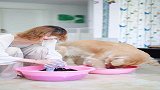 看我多多洗衣服的样子真帅多多神犬