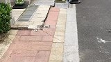 文明也可以从狗做起