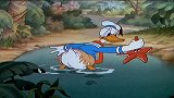 唐老鸭跳进水里，没想到尾巴上竟吸着一只海星，唐老鸭气急败坏
