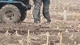 不管多么忙田间地头抖一抖