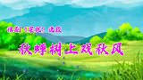 王小双演唱豫剧《梁祝》”秋蝉树上戏秋风“选段