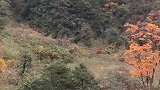 深秋的川西，色彩斑斓
