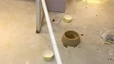 飘了！人善被狗欺！我是握不动刀了