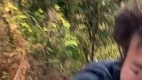 喜马拉雅山脉的安娜普尔娜雪峰群可能是你在地球上能看到的最壮观的风景。