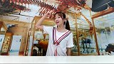 【神奇生物馆】脑袋小就是笨剑龙快来澄清！