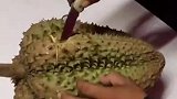 全网最惨开榴莲，这确定不是个冬瓜只能吃榴莲皮了！