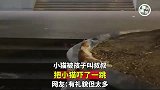 小猫被孩子叫叔叔，把小猫吓了一跳
