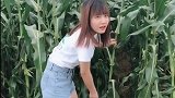 家里的玉米地没人弄怎么办，当然是靠未来姐夫啦