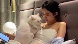 猫咪，这也太会找地方取暖了！
