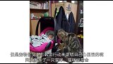 家中老猫一直盯着婴儿看，直到孩子被抱走，猫咪的目的终于暴露！
