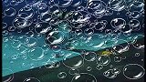 海绵宝宝：海绵宝宝鞋带没有系，只好爬回家