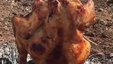 野外捕获的美餐，马上开吃，这样熏的味道非常棒