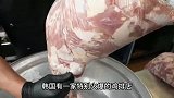 顶级美洲豹伏击猎物，成功只在一瞬间，遇到巨蜥只能灰溜溜走开