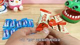 趣味糖果：贪吃鳄鱼“偷吃”薄荷糖、麦丽素！大嘴张几下就吃完了