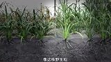 网络纪录片《全是大问题》