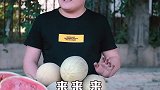 哈密瓜熟了，不甜你说了算，可不要跟嘟嘟曼学习哦