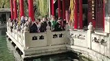 大妈们摆pose一起往趵突泉里喷“漱口水” 景区:只能劝阻