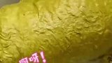 狗狗刚从泥地里滚回来，主人为狗子做深度皮毛SPA