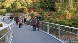 厦门花几十亿打造的步道，堪称中国唯一，就连外国人也被吸引来了