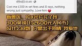 主人花了2600给狗看病，结果令人哭笑不得