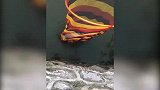 人类沙雕瞬间大赏第六期：都说靠山吃山靠水吃水，你们吃什么