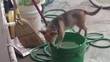 轻易别尝试洗凉水澡