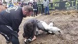 街头MMA大战，比专业比赛还要刺激，疯狂进攻打到浑身是泥